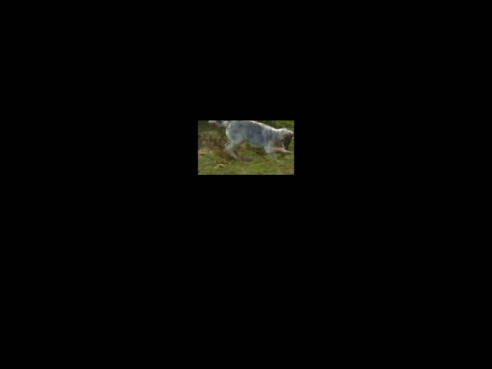 credits screenshot
