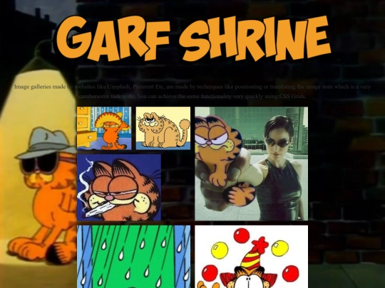 picture page screenshot