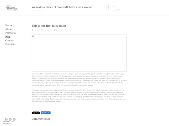 blog-single screenshot