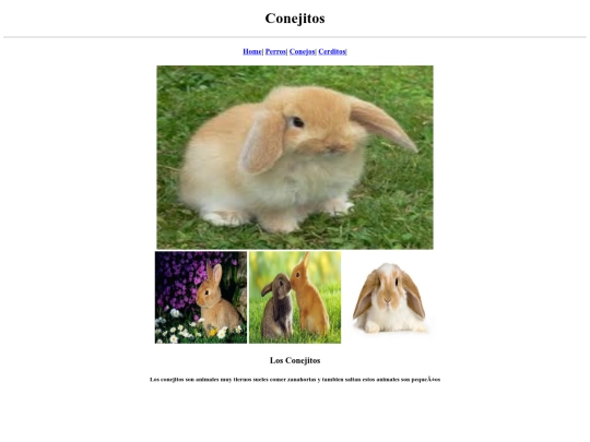 Animales_Domesticos/Conejitos screenshot