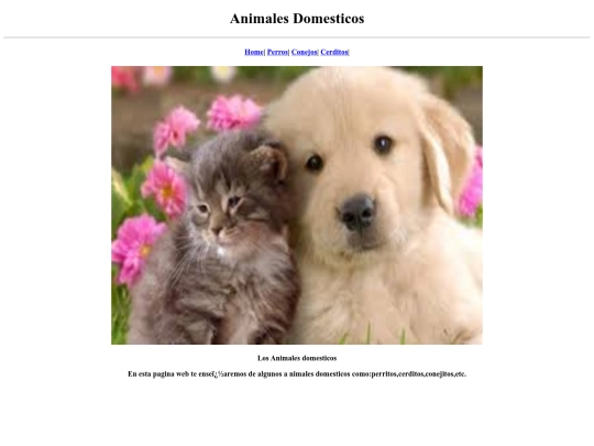 Animales_Domesticos/animalesdomesticos screenshot