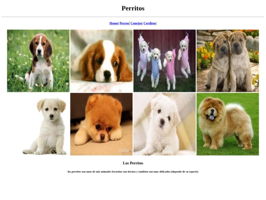 Animales_Domesticos/perritos screenshot