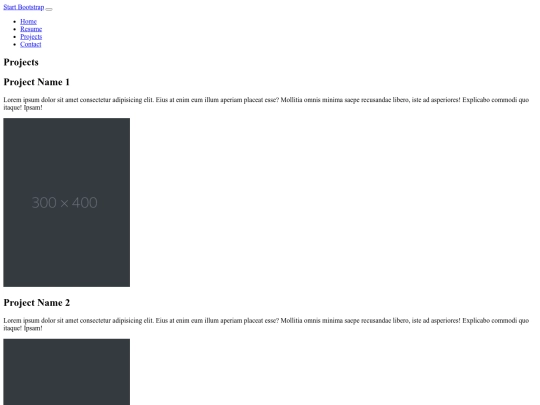 projects screenshot