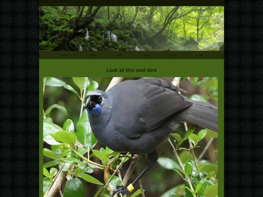 page screenshot