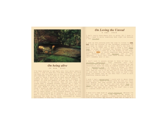 journal/entries/001 screenshot