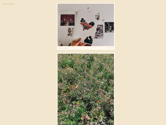 pictureFeed screenshot