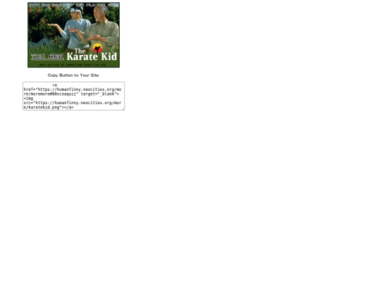 more/80scoa_quiz/karate screenshot