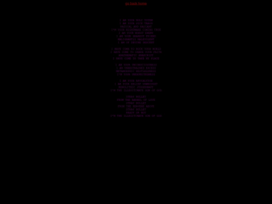 Pages/StrayBullet screenshot
