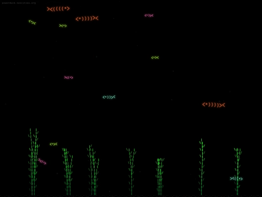 aquarium screenshot
