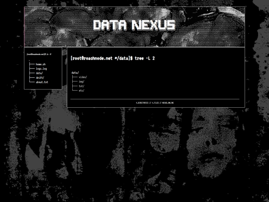 data screenshot