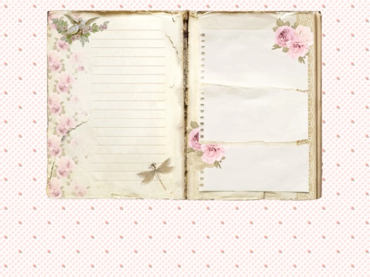 diary screenshot