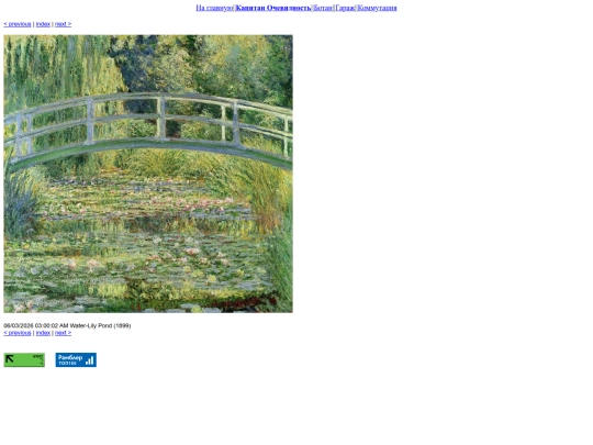 cap/Claude_Monet-complete_collection _862-1926/1891-1912/slides/Water-Lily Pond (1899) screenshot