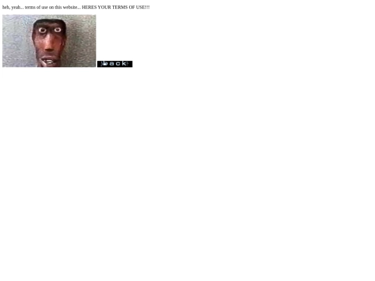 terms screenshot