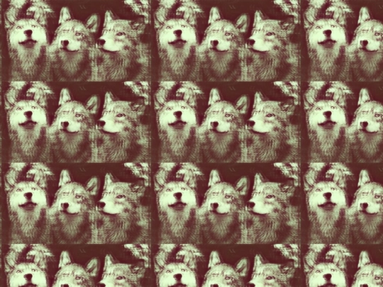 foim/foim1 screenshot