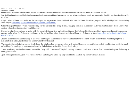 Online News Article screenshot