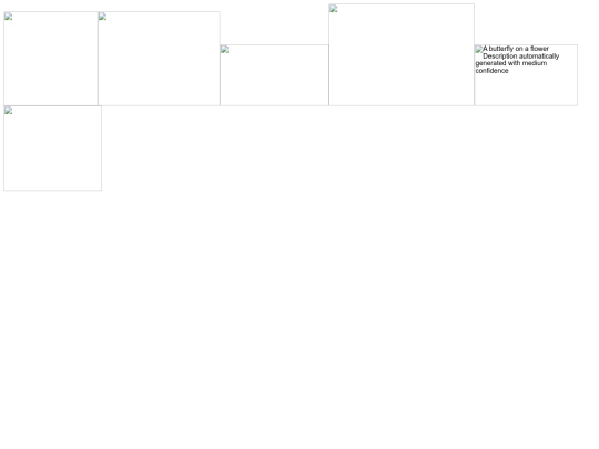 The Imitation Assignment screenshot