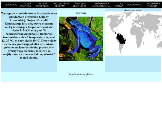 strona/podstrona1 screenshot