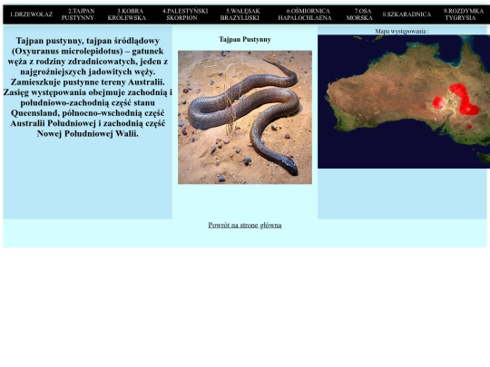 strona/podstrona2 screenshot