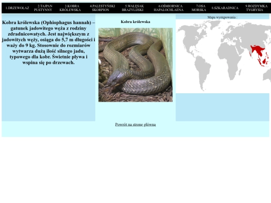 strona/podstrona3 screenshot