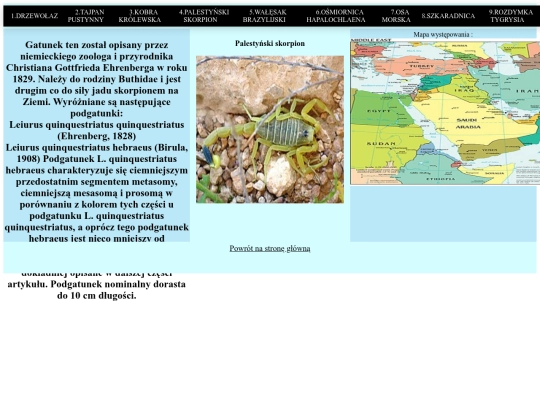 strona/podstrona4 screenshot