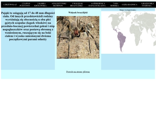 strona/podstrona5 screenshot