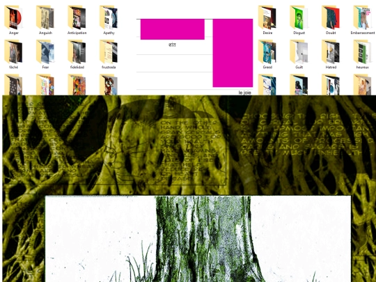 lista/1 screenshot