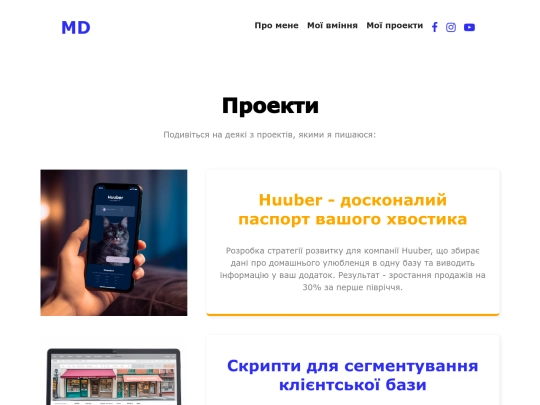 project screenshot