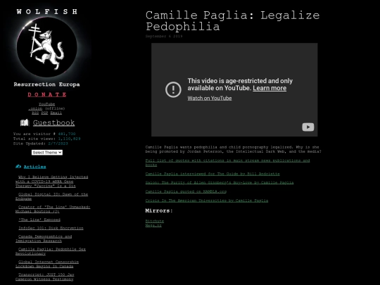 posts/videos/camille_paglia_legalize_pedophilia screenshot