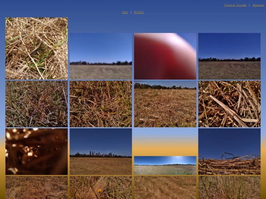 Pages/PhotosDay screenshot