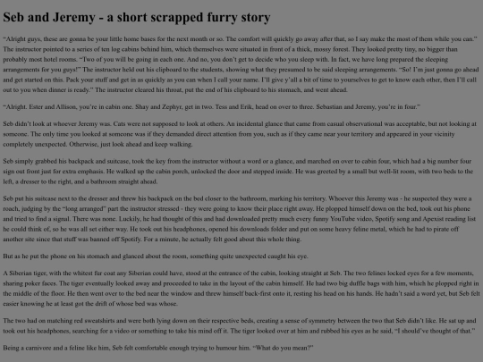 sebandjeremy screenshot