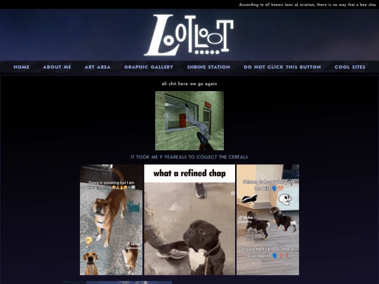bullshit screenshot
