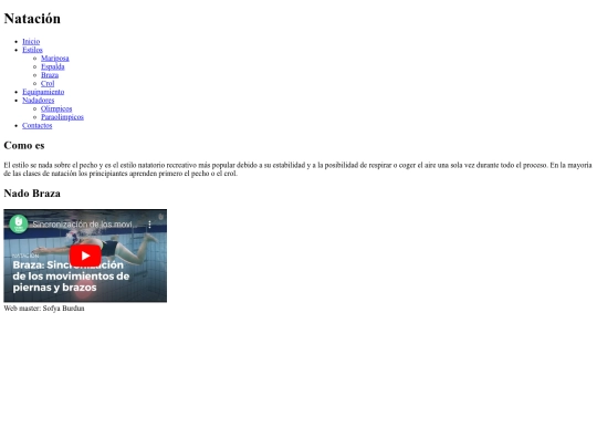 braza screenshot
