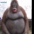 monkeys are funny avatar