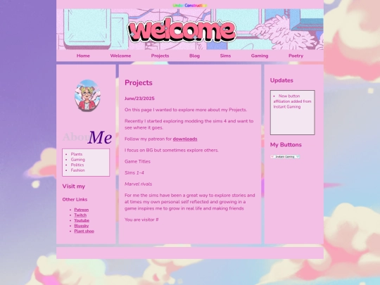 proj screenshot