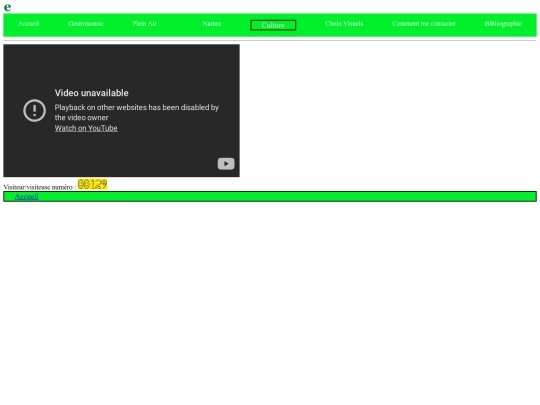 tp2/Html/ci screenshot