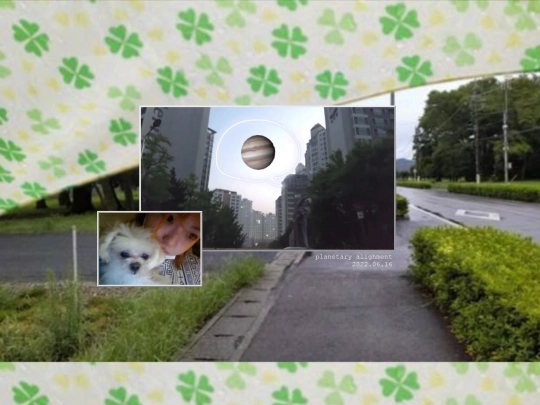 myangel screenshot
