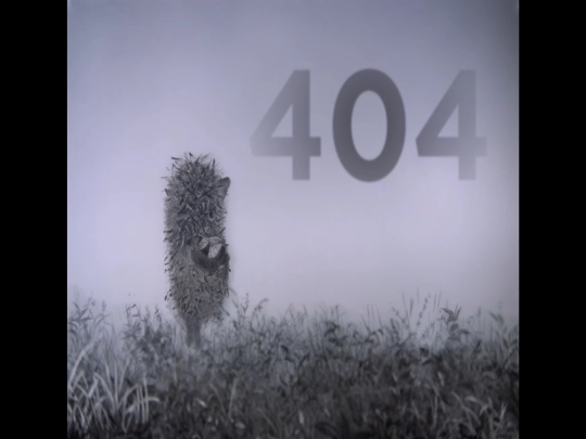404-1 screenshot