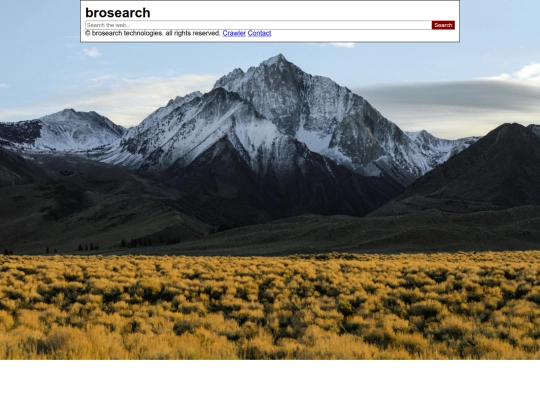 projects/@search/ui screenshot