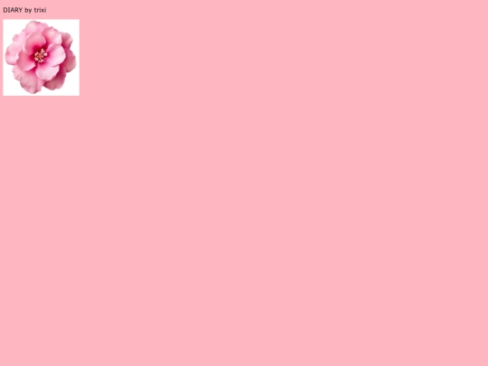 diary screenshot