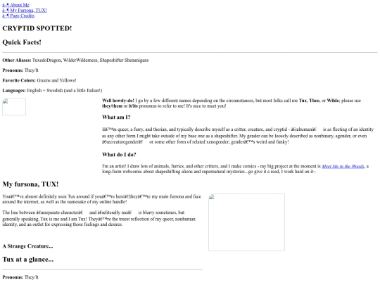 pages/about screenshot