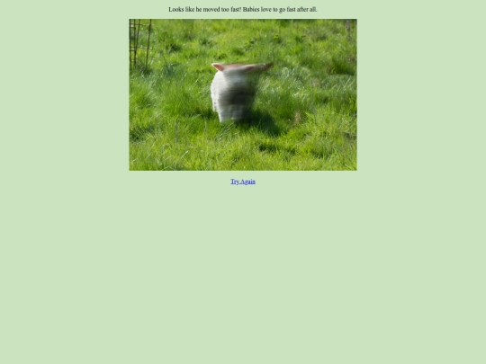 page4 screenshot