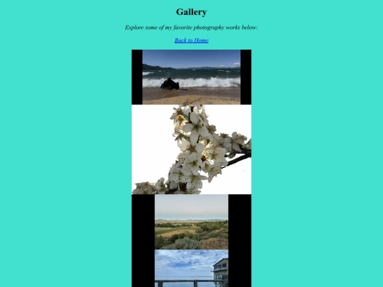 gallery screenshot