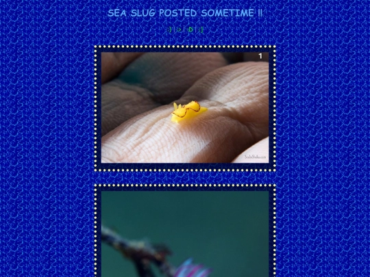 slug screenshot