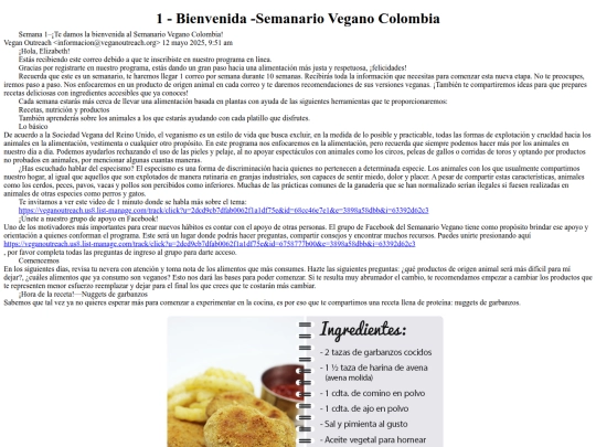 Sem1-VeganoCo screenshot