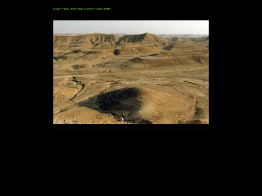 images/hash-4 screenshot