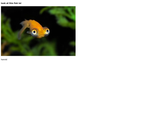 fish screenshot