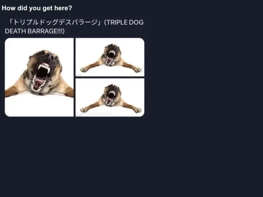 Characters/Kai Kenzaki/bio screenshot
