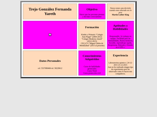 Currículum de Fernanda Yareth Trejo Gonzalez screenshot