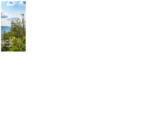 canvas/panoramaModificado screenshot