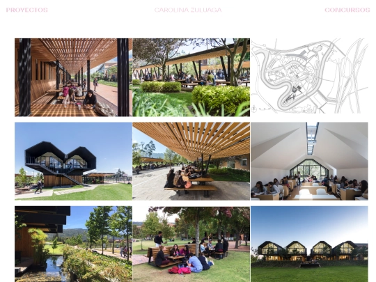 proyectos/sabana screenshot
